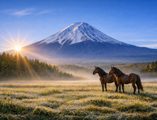 【年頭所感】拡大より深耕。丙午の火を「内」に灯す一年へ――時計・宝飾・眼鏡三業界の「選別」と「再定義」を読む