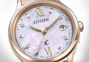 30周年記念モチーフ裏ぶた刻印 シチズン クロスシー 30周年記念 裏ぶた刻印